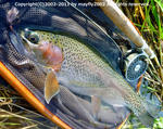 20111003003.jpg