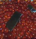 20111006001.jpg