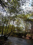 20111019001.jpg