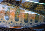20111019002.jpg