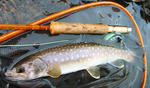 20111019003.jpg