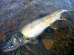 20111031001.jpg