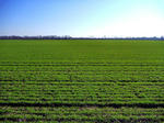 20111112002.jpg