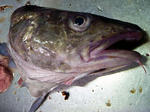 20111205001.jpg