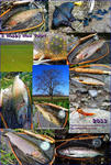 20120101001.jpg