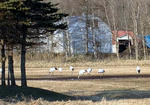 20120415002.jpg