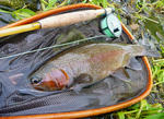 20120519001.jpg