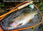 20120603001.jpg