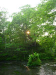 20120630001.jpg