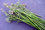 20120630002.jpg