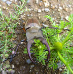 20120716001.jpg