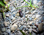 20120729001.jpg