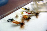 20120827001.jpg