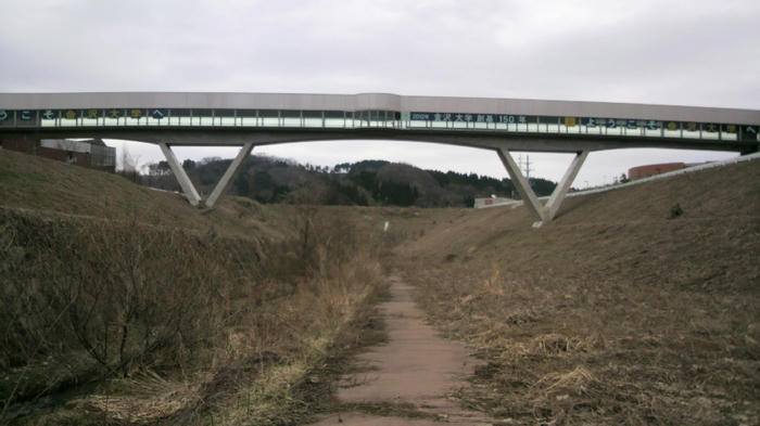 2010030415180001.jpg