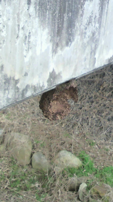 2010030415210000.jpg
