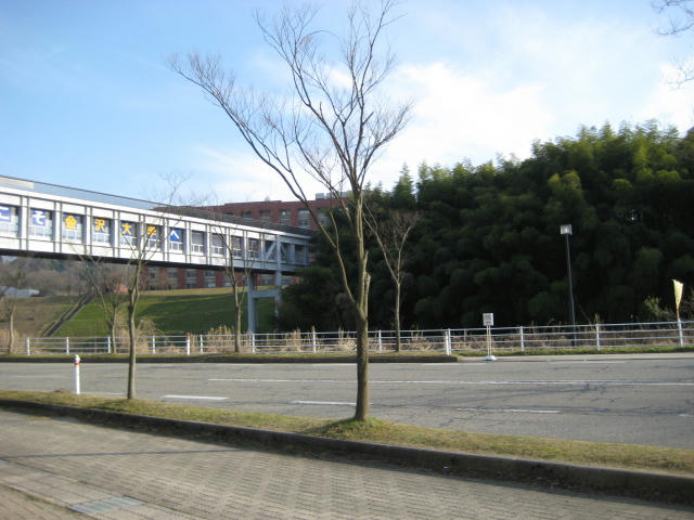 118.JPG