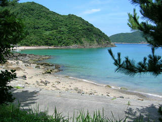 hoikuenn.JPG