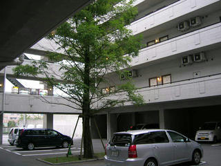 01.JPG