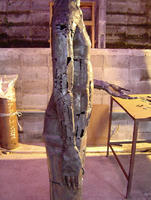 4619f720.jpg