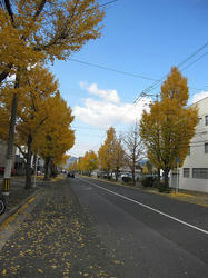 b202d18f.JPG