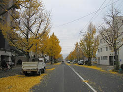28d041e5.JPG
