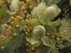 63cbd637.JPG