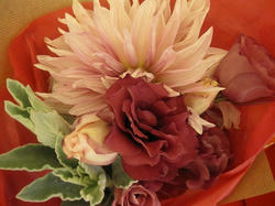 6c4827b3.JPG