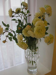 035d52eb.JPG