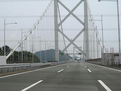65c582d3.JPG