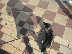 5f6e14d2.JPG