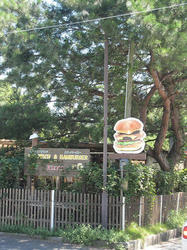 62efc01a.JPG