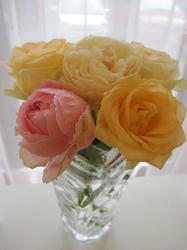 23f7025f.JPG