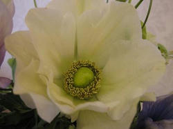 980ab108.JPG