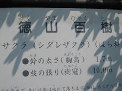 bd338798.JPG