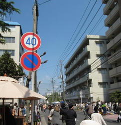 53c81137.jpg