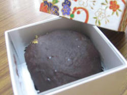 41f54984.JPG