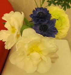 7839b1f4.JPG
