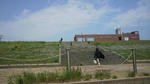 2011060813440000.jpg
