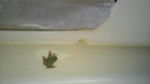 2011071209390000.jpg