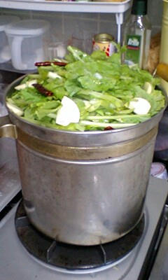 9b042e34.jpg