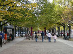 800px-Unter_den_Linden_im_Herbst.jpg