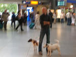 DSCF6213.JPG