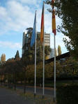 DSCF9543.JPG