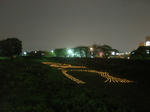 PA300779.jpg