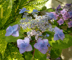 5eee18aa.gif