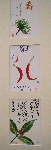 9b0268a1.gif
