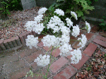 3ee10e2c.gif