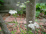 1b335d2f.gif
