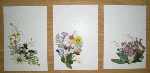 f851861f.gif