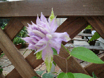 d457e3df.gif
